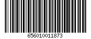 656010011873