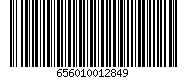 656010012849