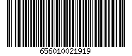 656010021919