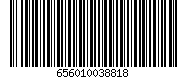 656010038818