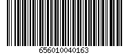 656010040163