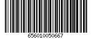 656010050667