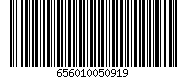 656010050919