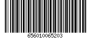 656010065203