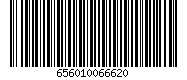 656010066620