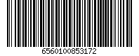 6560100853172