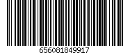 656081849917