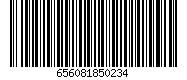 656081850234