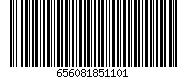 656081851101