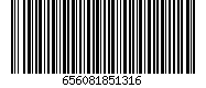 656081851316