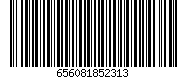 656081852313