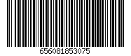 656081853075