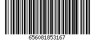 656081853167