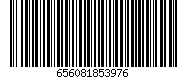 656081853976