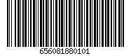 656081880101