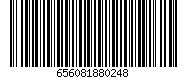 656081880248