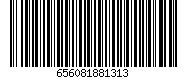 656081881313